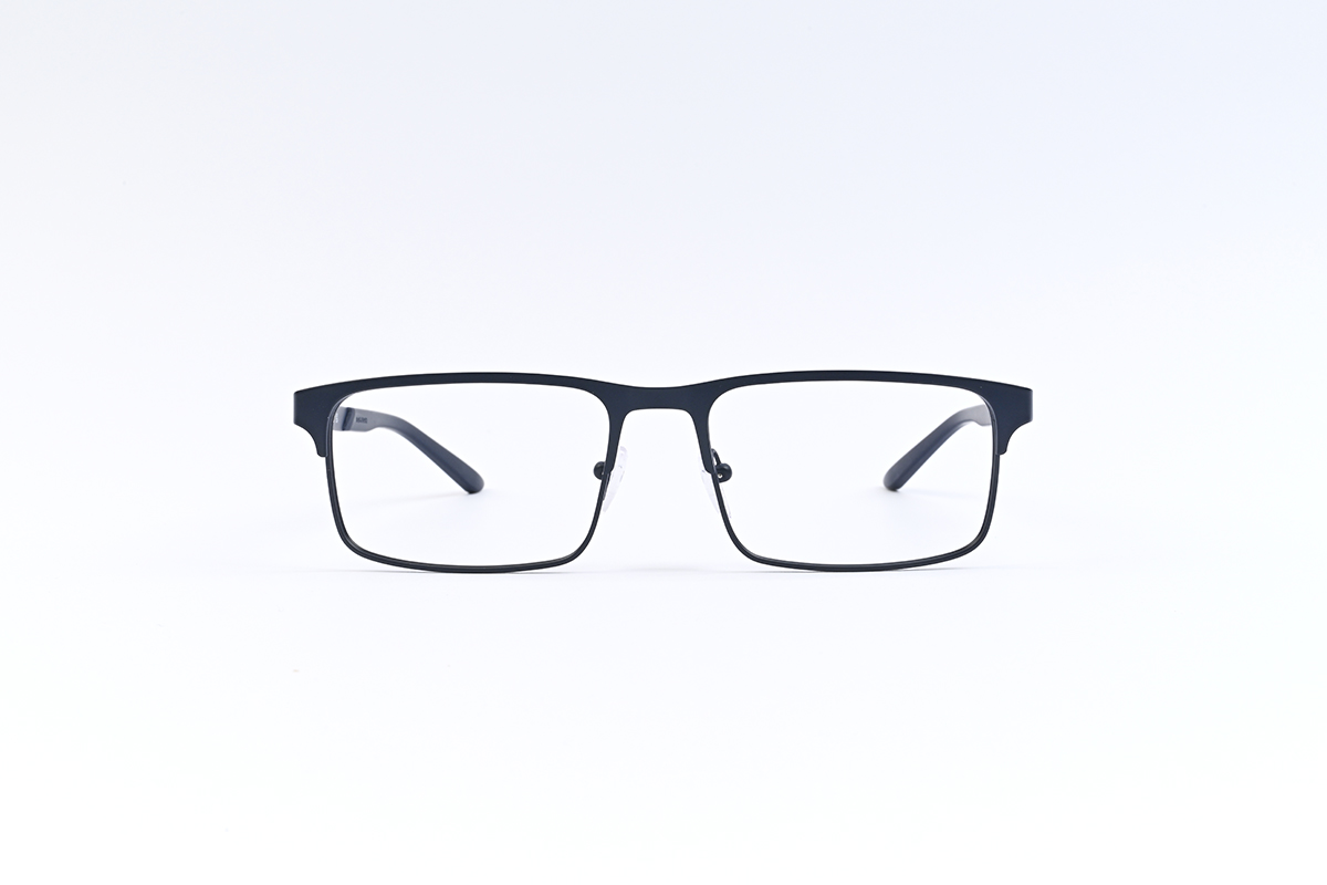 Emporio Armani EA1170, colour:Blue