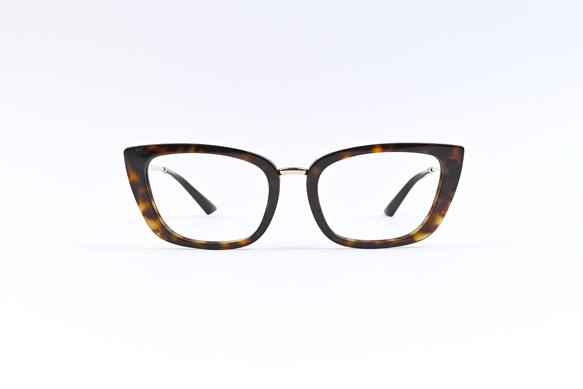 Jimmy Choo JC3034HB, colour:Tortoiseshell