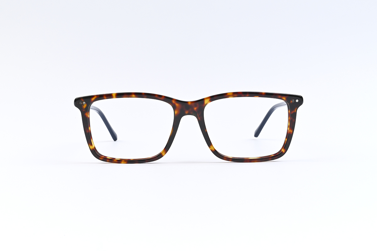 Ralph Lauren PH2287, colour:Tortoiseshell